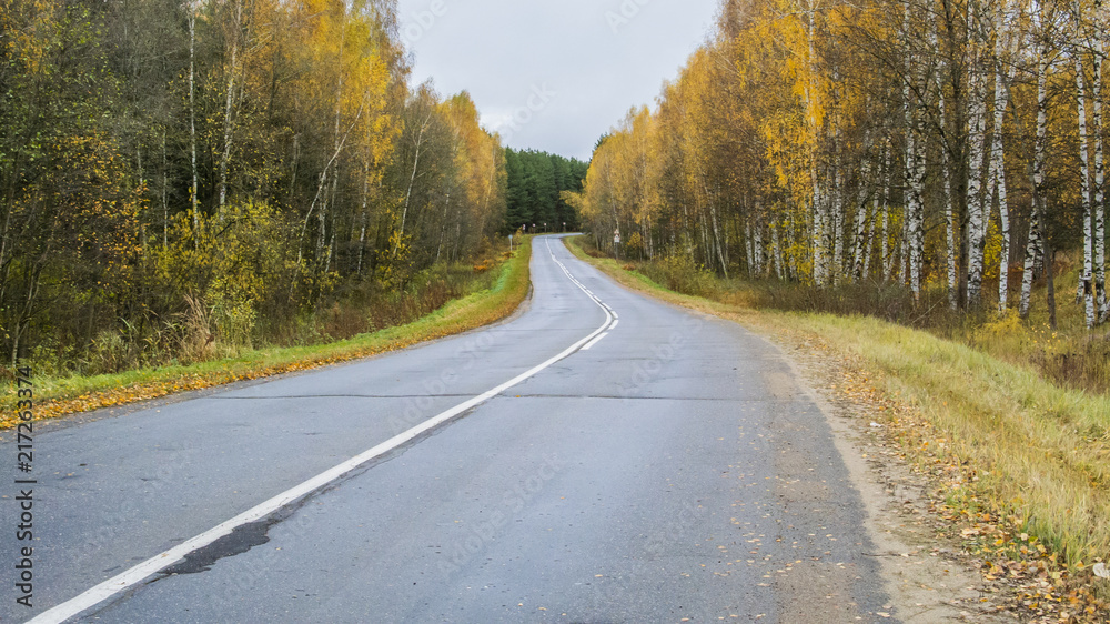 Autumn asphalt road line passing through the forest Autumn asphalt road line passing through the forest