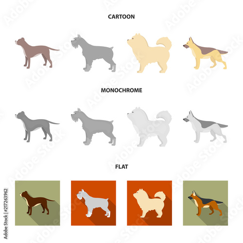 Pit bull, german shepherd, chow chow, schnauzer. Dog breeds set collection icons in cartoon,flat,monochrome style vector symbol stock illustration web.