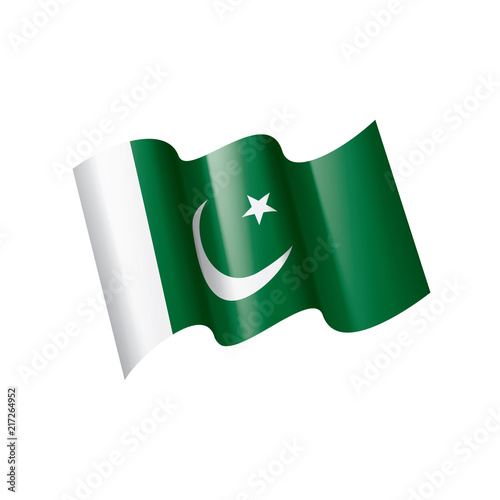 Pakistan flag, vector illustration on a white background