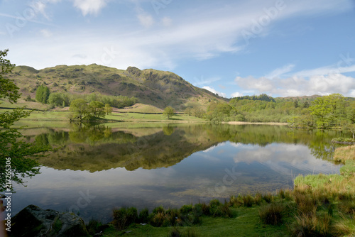 Reflections of Loughrigg Fell in Rydalwater, Lake District © davidyoung11111