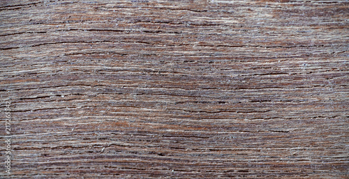 Wooden Texture Background Closeup