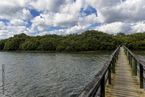 The bridge over the river to the mangrove forests