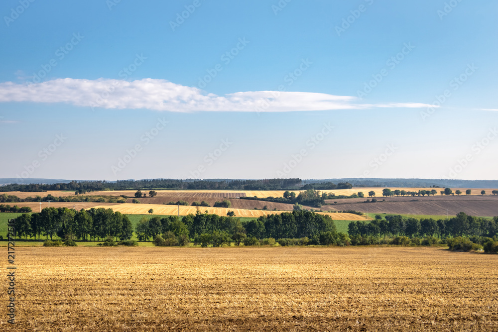 Summer countryside with stubble fields and trees under blue sky