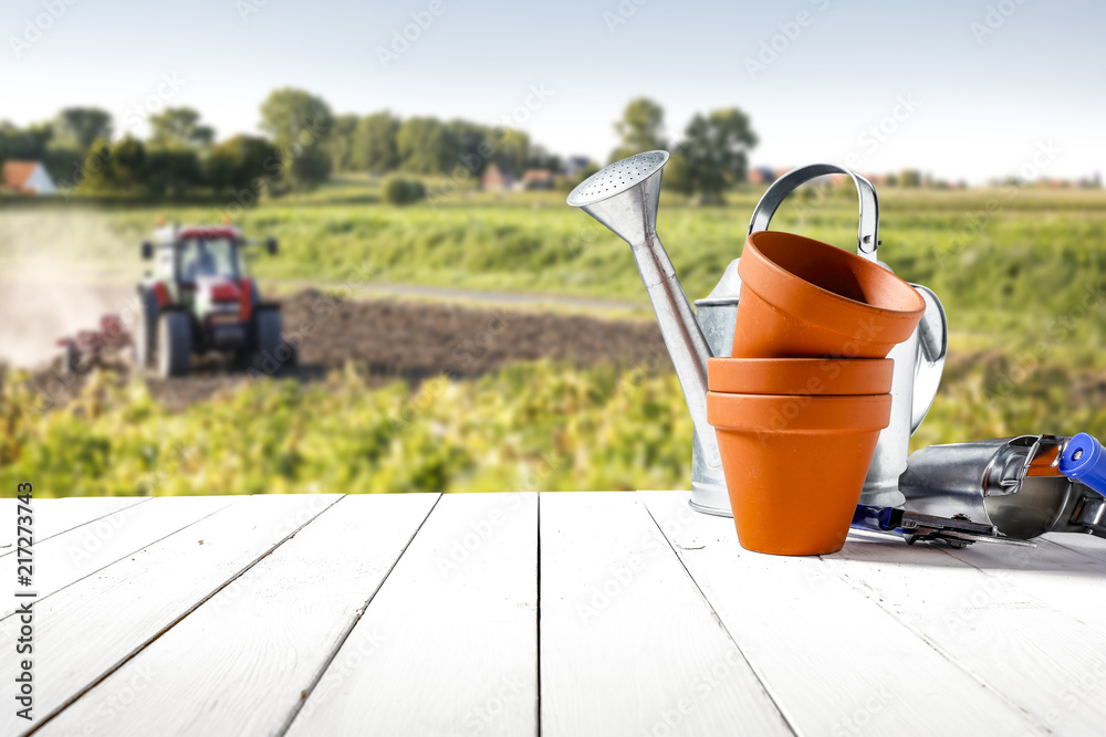 Fototapeta premium Rural landscape and autumn space 
