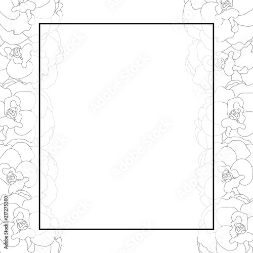 Begonia Flower Outline, Picotee Banner Card Border