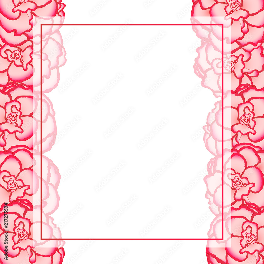 Pink Begonia Flower, Picotee First Love Banner Card Border