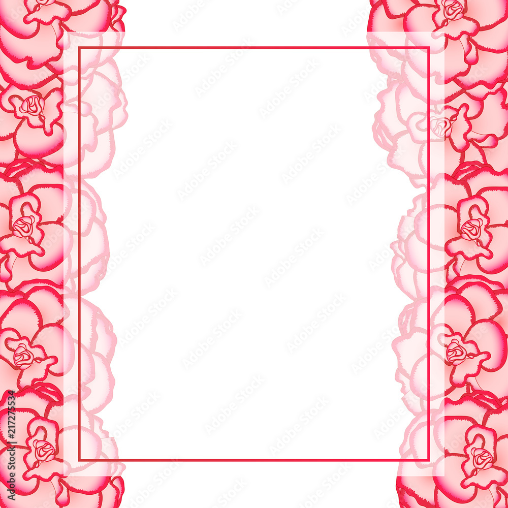 Pink Begonia Flower, Picotee First Love Banner Card Border Pink Begonia Flower, Picotee First Love Banner Card Border
