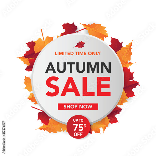 Autumn sale banner template with leaves, fall leaves for shopping sale. banner design. Poster, card, label, web banner. Vector illustration
