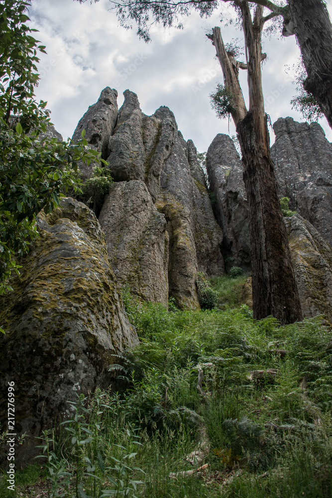 Landscape Landscape