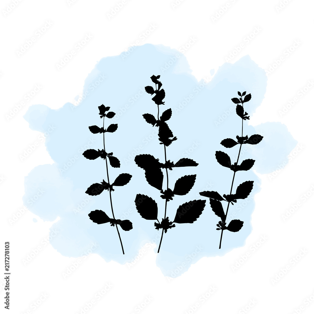 Naklejka premium Botanical illustration with herbs, plants, flowers and leaves. Isolated vector silhouettes on watercolor splash background. Graphic design for background, card, web banner, poster, invitation.