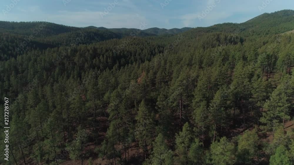 Aerial View of Western Evergreen Forest and Rolling Hills Dolly Up Aerial View of Western Evergreen Forest and Rolling Hills Dolly Up