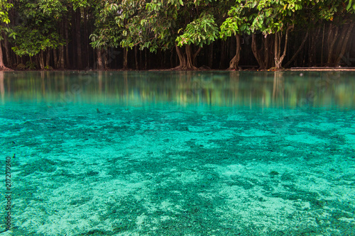 Emerald Pool in Krabi Thailand