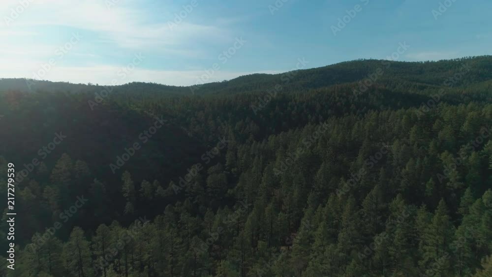 Aerial View of Western Evergreen Forest and Rolling Hills Zoom Over