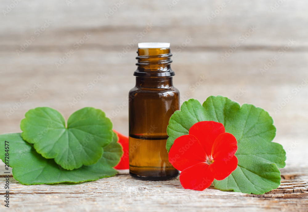 Small glass bottle with essential geranium oil on the old wooden background. Geranium leaves and flowers, close up. Aromatherapy, spa and herbal medicine ingredients. Copy space.