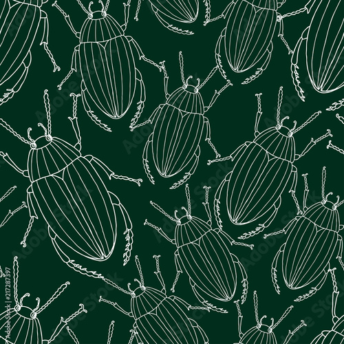 Vector background of the drawn beetles © avelksndr