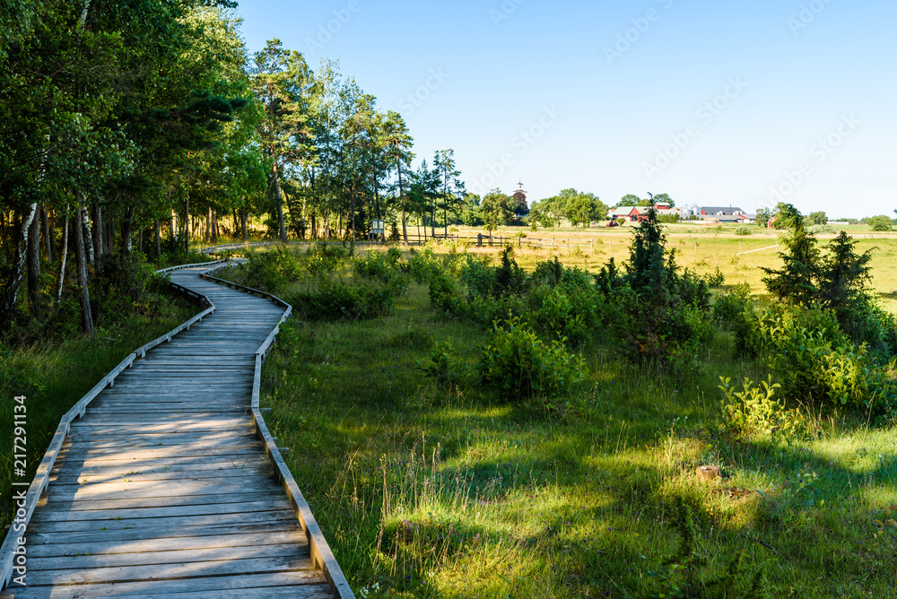 Wooden hiking trail following the forest edge beside a lake meadow. Farmland in the background. Location lake Takern, Sweden.