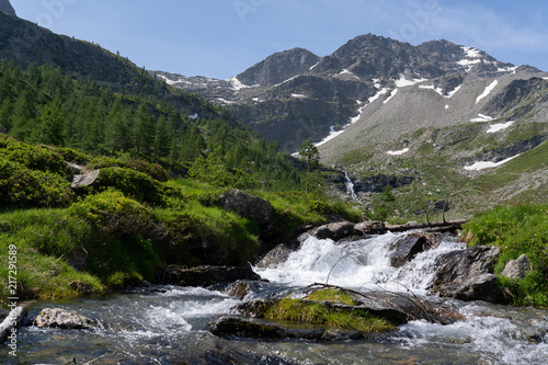 Alpine torrent waterfall into the wild nature, between pines, rock and mountains