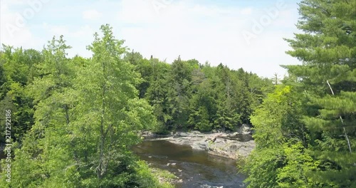 Rising above a forest stream at Tobey Falls in Willimantic, Maine. photo