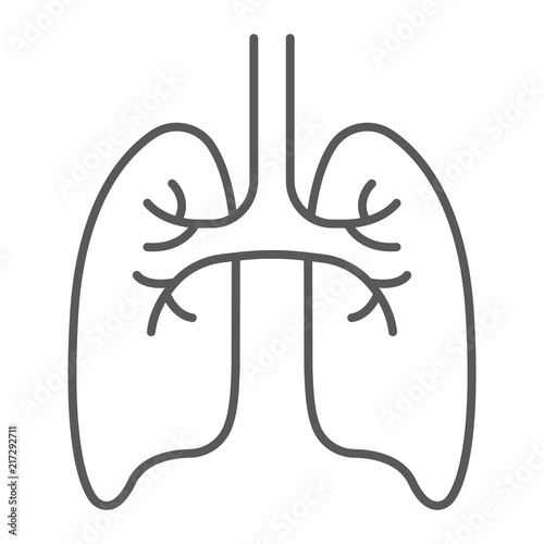 Lungs thin line icon, anatomy and biology, pulmonology sign, vector graphics, a linear pattern on a white background, eps 10.