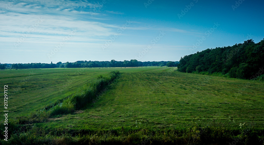 Netherlands, South Holland, a large green field with trees in the background