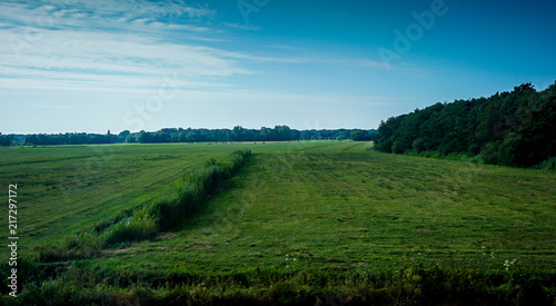 Netherlands  South Holland  a large green field with trees in the background