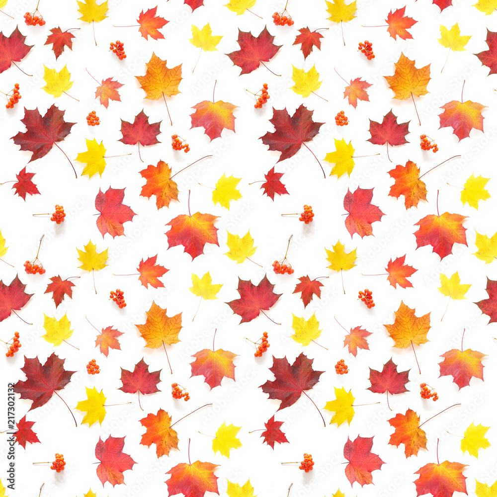 Autumn yellow, orange and red maple leaves isolated on white background, top view, flat layout. Creative seamless pattern. Autumn background. Autumn yellow, orange and red maple leaves isolated on white background, top view, flat layout. Creative seamless pattern. Autumn background.