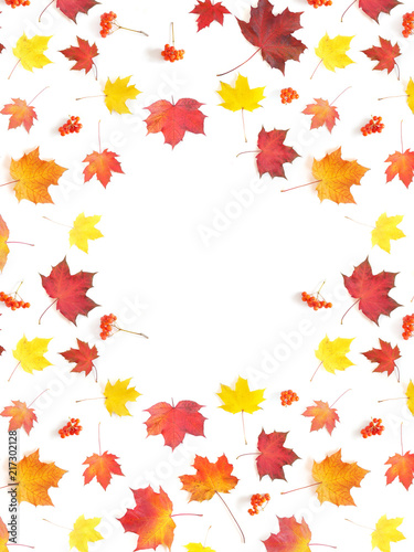 Frame of autumn yellow  orange and red maple leaves isolated on white background  top view  flat layout. Creative pattern  autumn background.