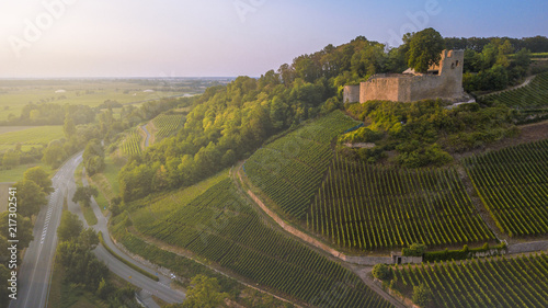 Castle in Germany and grape fields from a bird's eye view at sunset
