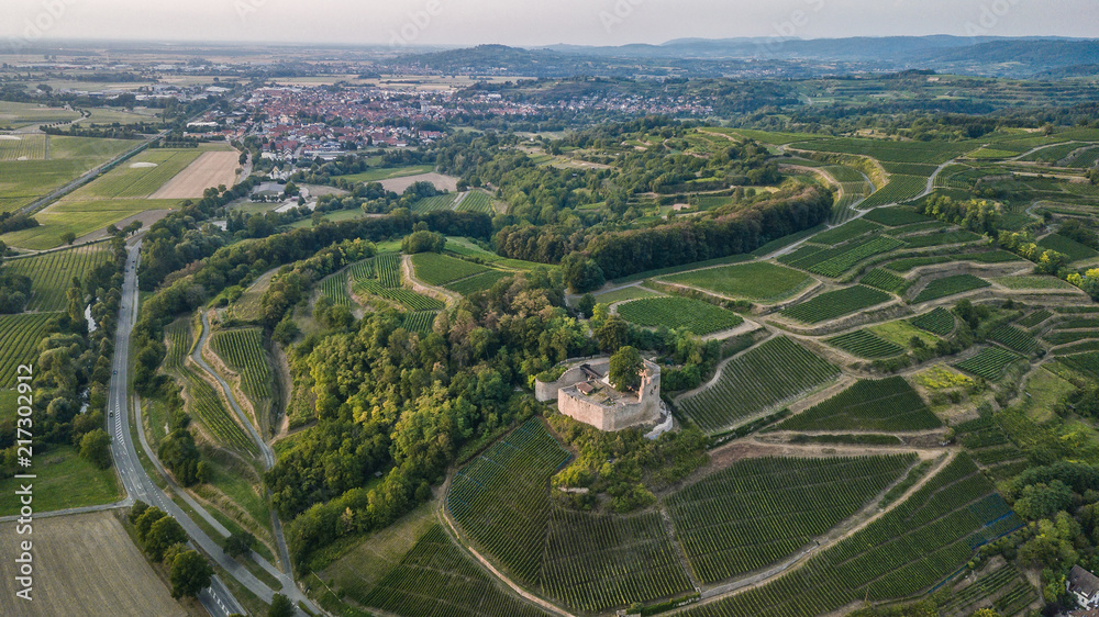 Castle in Germany and grape fields from a bird's eye view
