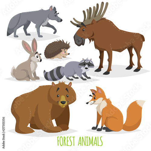 Cartoon forest animals set. Wolf  hedgehog  moose  hare  raccoon  bear and fox. Funny comic creature collection. Vector educational illstrations.