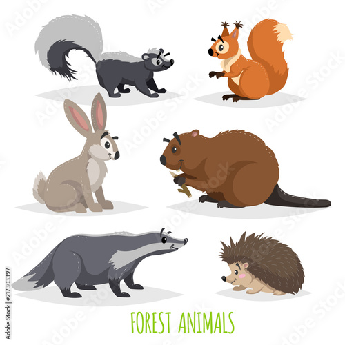 Cartoon forest animals set. Skunk, hedgehog, hare, squirrel, badger and beaver. Funny comic creature collection. Vector educational illstrations.