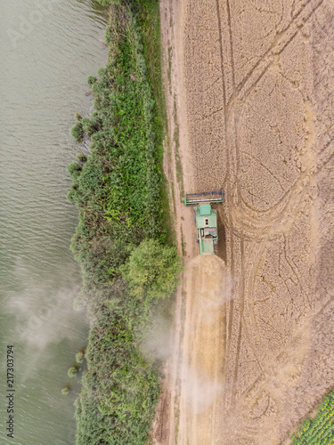 Harvesting cornbine at summer photo