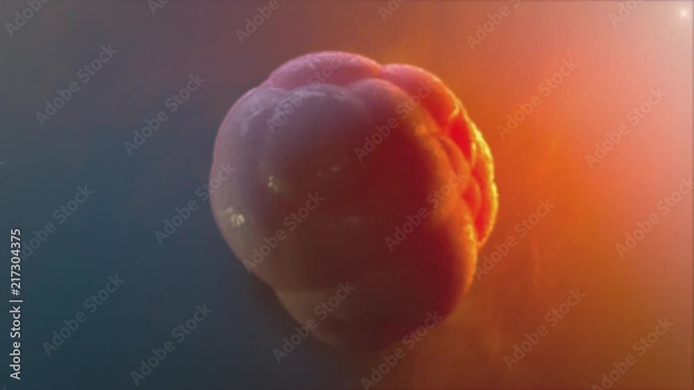 Cell proliforation, division. 3D animation. 