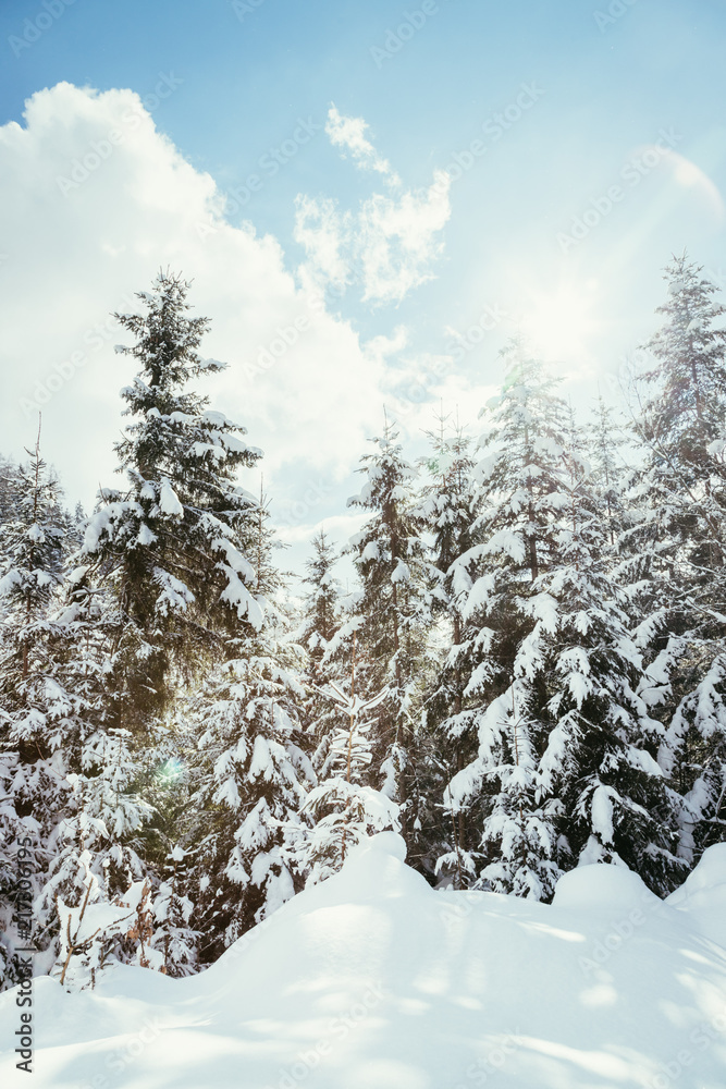 Verschneite Winterlandschaft in den Bergen, schneebedeckte Bäume Verschneite Winterlandschaft in den Bergen, schneebedeckte Bäume