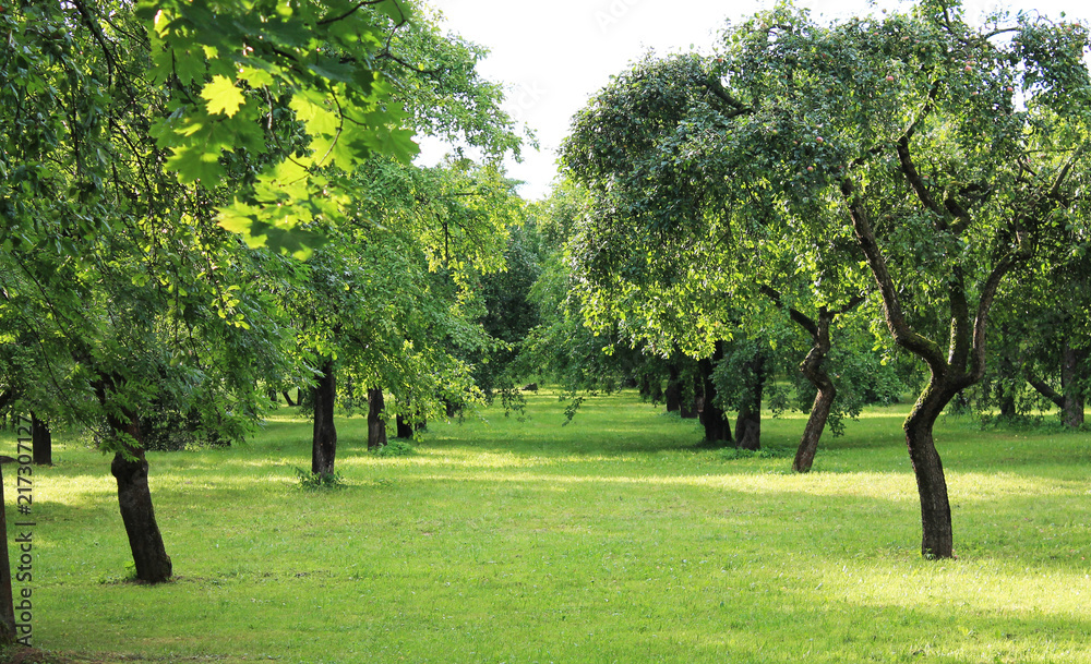 Minsk. Belarus. A wonderful landscape in Losšice. Minsk. Belarus. A wonderful landscape in Losšice.