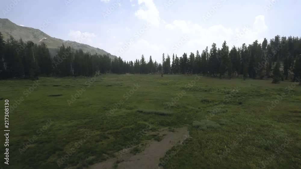 Aerial shot of meadow in beautiful lush northern California with small bodies of water and tall trees Aerial shot of meadow in beautiful lush northern California with small bodies of water and tall trees