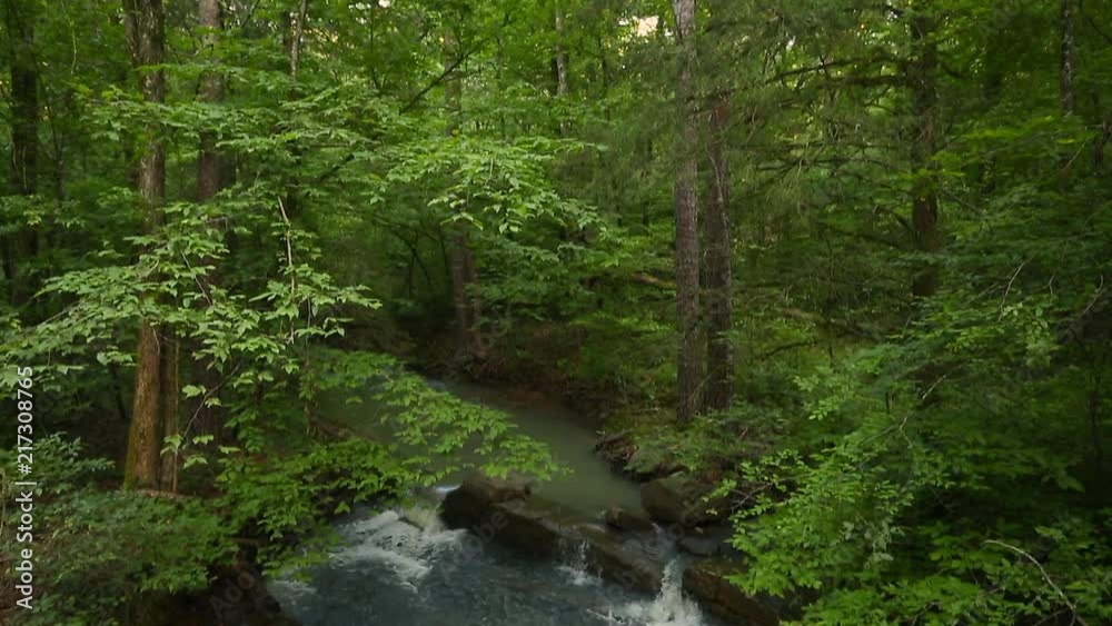 TILT DOWN from trees in sunlight to reveal two small waterfalls in the forest in the Ouachita mountains in Arkansas. TILT DOWN from trees in sunlight to reveal two small waterfalls in the forest in the Ouachita mountains in Arkansas.
