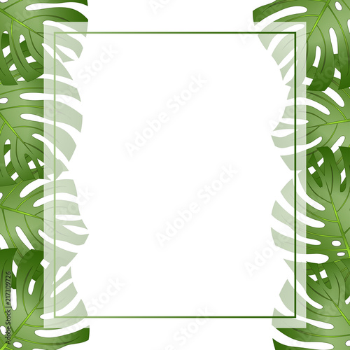 Philodendron Monstera Leaf ...