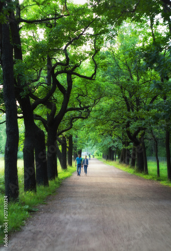 An oak alley illuminated by the sun with two persons walking along it in summer evening