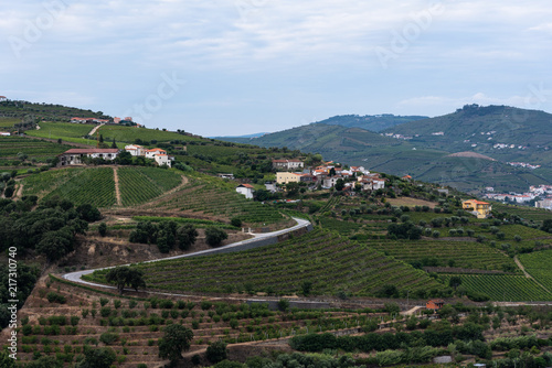 Vinhedos do Rio Douro - Portugal