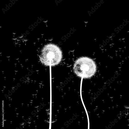 3d rendering illustration of dandelion