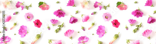 Composition pattern from plants, wild flowers mallow isolated on white background, flat lay, top view. 