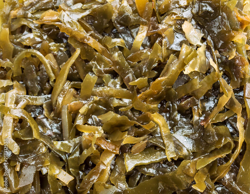Seaweed as food background.