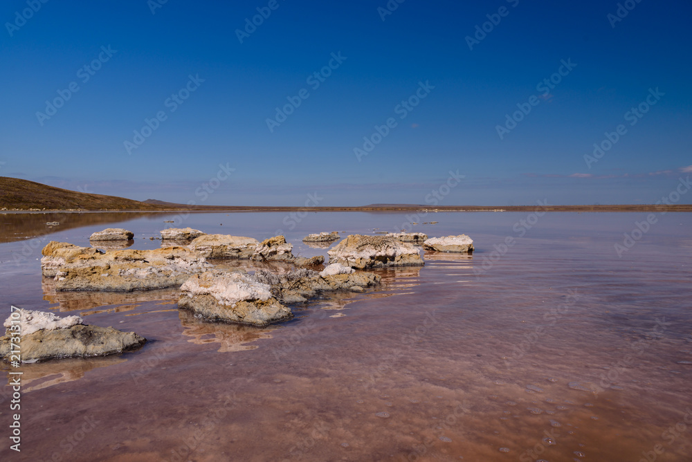Pink Lake, Koyashsky Reserve, Crimea.