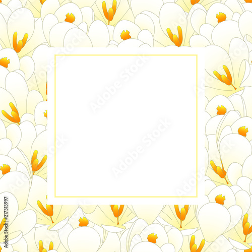 Fototapeta Naklejka Na Ścianę i Meble -  White Crocus Flower Banner Card