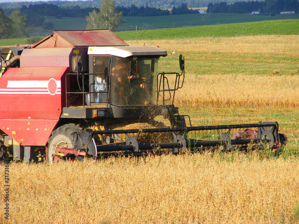 Fototapeta premium Combine harvester in oast field