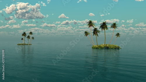 Group of palms on a small island
