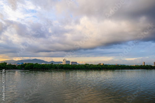Mangrove forest and city