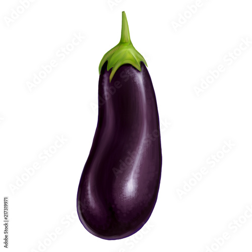 illustration with realistic eggplant on a white background