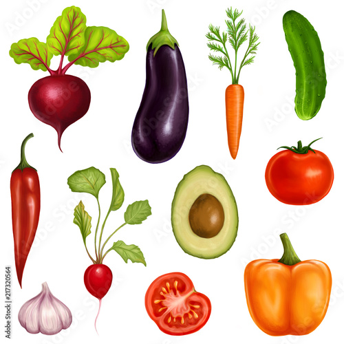 big set of vegetables on a white background. Illustration with realistic vegetables